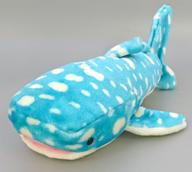ぬいぐるみ NEWキャラクタージンベエザメ（M) ぬいぐるみ 沖縄美ら海水族館限定