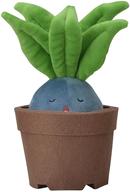 인형 풀린 Pokemon Grassy Gardening 인형 「포켓몬스터」 포켓몬 센터 한정 이미지 1