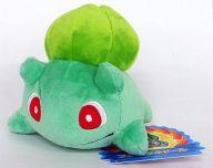 ぬいぐるみ フシギダネドール ポケドール(ぬいぐるみ) 「ポケットモンスター」 ポケモンセンター限定 Bild 1