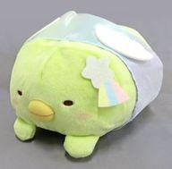 ぬいぐるみ ぺんぎん? うつぶせぬいぐるみ 星空さんぽテーマ 「すみっコぐらし」 ナムコ＆とるモ限定