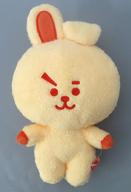 ぬいぐるみ COOKY(ジョングク) 5周年記念レインボーカラー オレンジ ぬいぐるみ 「BT21」