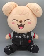 ぬいぐるみ PuppyM(スンミン) SOFT TOY(ぬいぐるみ) 「Stray Kids World Tour ＜ dominATE JAPAN ＞」