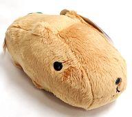 ぬいぐるみ カピバラさん とてとておさんぽカピバラさん 「カピバラさん」