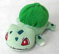 ぬいぐるみ フシギダネ くたくたポケモンぬいぐるみ 「ポケットモンスター」 圖片 1