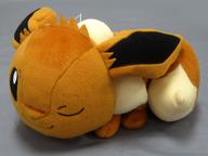 ぬいぐるみ イーブイ でっかいぬいぐるみ〜ピカチュウ・イーブイ〜 「劇場版ポケットモンスター みんなの物語」 Bild 1