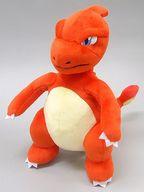 ぬいぐるみ リザード ぬいぐるみ 「ポケットモンスター」 ポケモンセンター限定 gambar 1