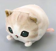 ぬいぐるみ ぶちにゃん にゃんこのちびころぬいぐるみ 「mofusand」