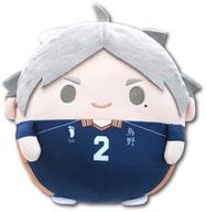 ぬいぐるみ 菅原孝支 ふわコロりんMsize3(ぬいぐるみ) 「ハイキュー!!」
