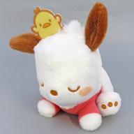 ぬいぐるみ ポチャッコ(C/寝そべり) おひるねぬいぐるみ 「ポチャッコ」