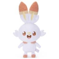ぬいぐるみ ヒバニー ポケピースぬいぐるみ(M) 「ポケットモンスター」 圖片 1