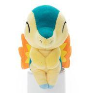 ぬいぐるみ ヒノアラシ ちょっこりさんぬいぐるみ 「ポケットモンスター」 Bild 1