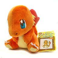 ぬいぐるみ ヒトカゲ ポケモンキャンバスぬいぐるみ 「ポケットモンスター」 ポケモンセンター限定 Bild 1