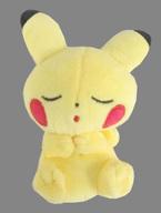 ぬいぐるみ ピカチュウ(目閉じ) プチぬいぐるみINモンスターボールケース Vol.2 「ポケットモンスター」 ポケモンセンター限定 圖片 1