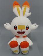 ぬいぐるみ ヒバニー つれてってでっかいぬいぐるみ〜ゴンベ・ヒバニー〜 「ポケットモンスター」 圖片 1