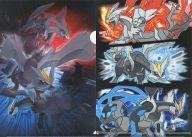 クリアファイル キュレムの境界 A4クリアファイル 「ポケットモンスター」 ポケモンセンター限定