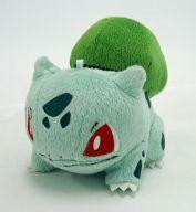 ぬいぐるみ 189.フシギダネ MYポケモンコレクションぬいぐるみ〜新しい旅のはじまり〜 「ポケットモンスターXY」 Bild 1