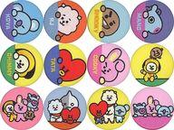 バッジ・ピンズ 全12種セット EMBROIDERY TIN BADGE(刺繍缶バッジ) 「BT21」