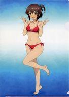 クリアファイル 衛藤可奈美 A4クリアファイル 「C95 刀使ノ巫女 衛藤可奈美 描き下ろし等身大タペストリー」 会場限定購入特典