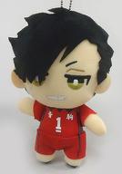 ぬいぐるみ 黒尾鉄朗 ともぬいvol.2 「ハイキュー!!」 Bild 1