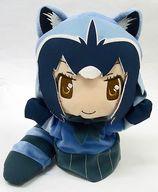 ぬいぐるみ アライグマパペット 「みんなのくじ けものフレンズ」 C賞
