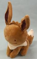 ぬいぐるみ イーブイ へんしん!メタモン ぬいぐるみ 「ポケットモンスター」 ポケモンセンター限定