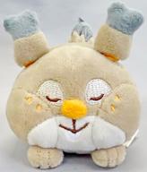 ぬいぐるみ ホシガリス みんなおつかれさま にぎってむにむにぬいぐるみ 「ポケットモンスター」 ポケモンセンター限定 รูปภาพ 1