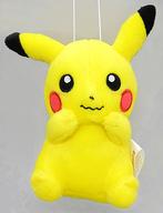 ぬいぐるみ ピカチュウ(困り顔) ピカチュウマニア! ぬいぐるみ〜いろんなピカチュウ〜 「ポケットモンスター サン＆ムーン」 imagen 1
