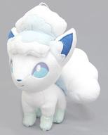 ぬいぐるみ ロコン(アローラのすがた) でっかいぬいぐるみ〜ロコン(アローラのすがた)・ロコン〜 「ポケットモンスター サン＆ムーン」 圖片 1