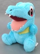 ぬいぐるみ ワニノコ ジョウト地方 旅立ちの3匹ぬいぐるみ 「一番くじ Pokemon 30th ANNIVERSARY vol.1」 D賞 圖片 1