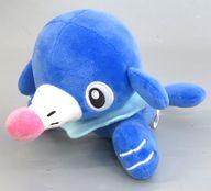 ぬいぐるみ アシマリ ぬいぐるみ〜ホエルコ・アシマリ・ナマコブシ〜 「ポケットモンスター」 รูปภาพ 1