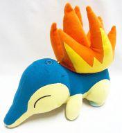 ぬいぐるみ ヒノアラシ なでなでピカチュウ・ワニノコ・ヒノアラシ 「ポケットモンスター」 Bild 1