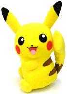 Pikachu Male Form Pokemon Male & Female Super DX Plush Pokemon XY image 1