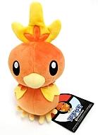 ぬいぐるみ アチャモ ぬいぐるみ 「ポケットモンスター」 ポケモンセンター限定 Bild 1