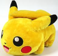 ぬいぐるみ ピカチュウ DXぬいぐるみ 〜ミュウ＆ミュウツー編〜 「ポケットモンスター アドバンスジェネレーション」 圖片 1