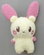 ぬいぐるみ プラスル ポケピース ぬいぐるみ 〜POP UP STORE BY FLOWERING〜 「ポケットモンスター」