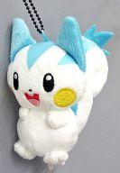 ぬいぐるみ 253.パチリス MYポケモンコレクション ぬいぐるみ 〜Pokemon Type! でんき〜 「ポケットモンスターXY」 image 1