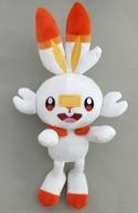 ぬいぐるみ ヒバニー つれてってぬいぐるみ〜ミジュマル・ヒバニー・ニャオハ〜 「ポケットモンスター」 圖片 1
