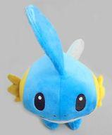 ぬいぐるみ ミズゴロウ ぬいぐるみ 「ポケットモンスター」 ポケモンセンター限定 imagen 1