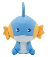 ぬいぐるみ ミズゴロウ サイコソーダ・リフレッシュ ぬいぐるみ 「ポケットモンスター」 ポケモンセンター限定 圖片 1