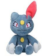 뽀글머니 뉴라 Pokémon fit 「포켓몬스터」 이미지 1