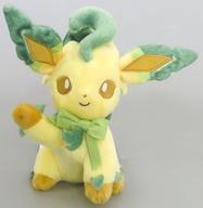 ぬいぐるみ リーフィア ぬいぐるみ Eevee Collection 「ポケットモンスター」 ポケモンセンター限定 Bild 1