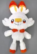 Scorbunny Muchya Mofu Gut Cozy Heal Plush image 1