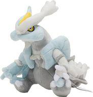 ぬいぐるみ キュレム（ホワイトキュレム） Pokemon fit ぬいぐるみ 「ポケットモンスター」 ポケモンセンター限定 hình ảnh 1