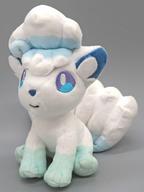ぬいぐるみ ロコン(アローラのすがた) Pokemon fit ぬいぐるみ 「ポケットモンスター」 ポケモンセンター限定 画像 1