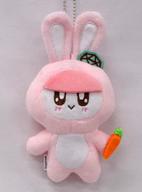 ぬいぐるみ SEVENTEEN 着ぐるみBONGBONG(ぬいぐるみ) 「SEVENTEEN 2019 JAPAN TOUR ’HARU’」