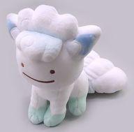 ぬいぐるみ アローラロコン へんしん!メタモン ぬいぐるみ 「ポケットモンスター」 ポケモンセンター限定