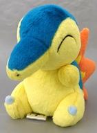 ぬいぐるみ ヒノアラシ ジョウト地方 旅立ちの3匹ぬいぐるみ 「一番くじ Pokemon 30th ANNIVERSARY vol.1」 D賞