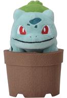 ぬいぐるみ フシギダネ Pokemon Grassy Gardening ぬいぐるみ 「ポケットモンスター」 ポケモンセンター限定