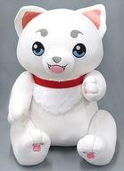 ぬいぐるみ ビッグぬいぐるみ定春 animate LIMITED SELECTION 「銀魂」