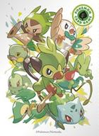 サプライ ポケモンカードゲーム デッキシールド(スリーブ) タイプファイターズ 草 ポケモンセンター限定 hình ảnh 1